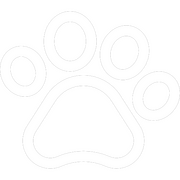Dog Friendly